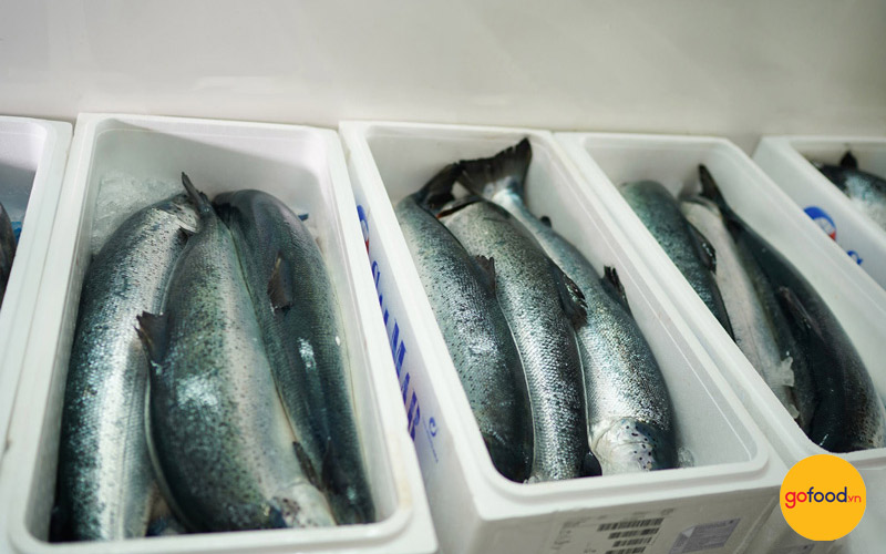 Lựa chọn cá hồi Nauy để có món ăn tuyệt vời trong dịp Tết